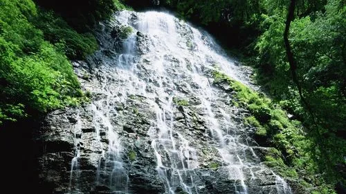 高标准高标准